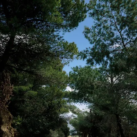 Amalthia Panorama